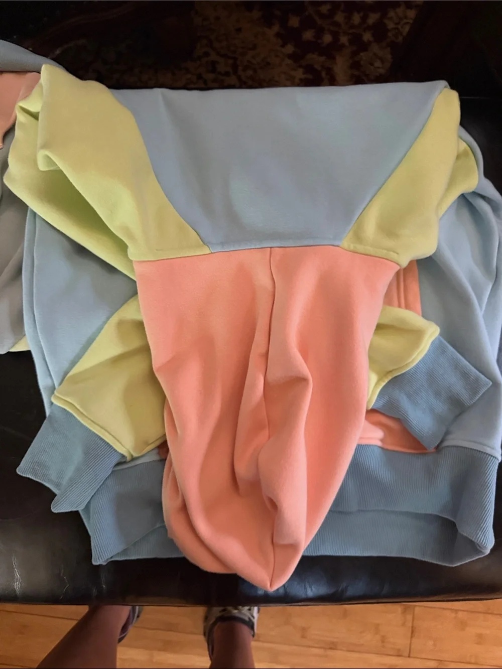 Spark paws Colorblock Pastel Hoodie - human hoodie dog hoodie